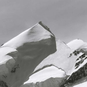 gallery img 02